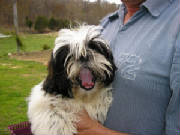 pups2007038.jpg